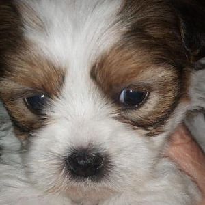 Baby Kenzie