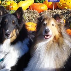 Duo pumpkins