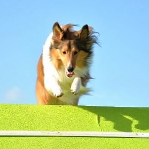 A-frame
