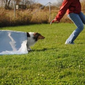 Chute = frisbee = speed!!!!!!