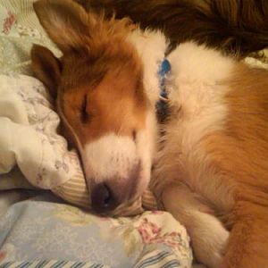 Such a sweet baby!