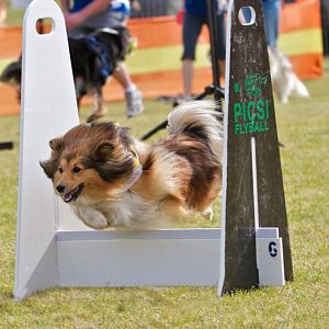Its a bird...its a plane... no its SUPER TULLY.