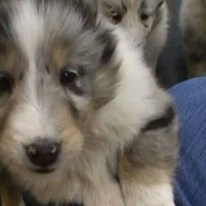 Hello-7 weeks