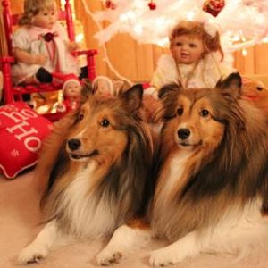Waiting for Santa
