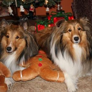 "Christmas don't be late!"