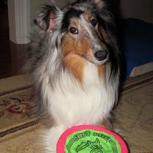"Come on mom, put the camera down and throw the Frisbee!"