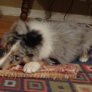 Enjoying one of my christmas presents from mom