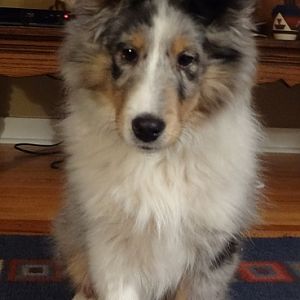14 weeks