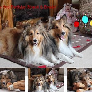 3rd BD photo shoot collage