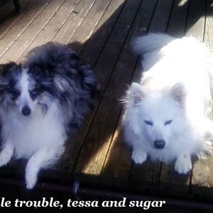 double trouble.
