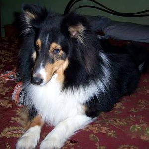Duke
''wise old soul''