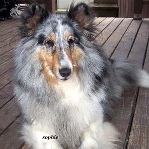 Sophie
so very sweet