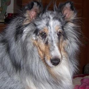 Sophie