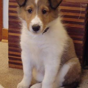 Baby Meggie