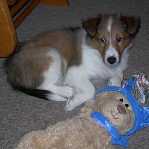 Baby Meggie2