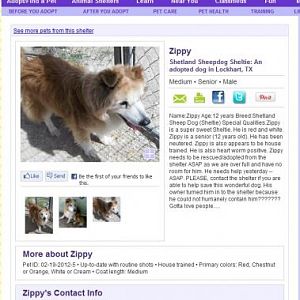 zip on petfinder when we all first saw him. He was at Lockhart (a kill shelter) and not in rescue yet.