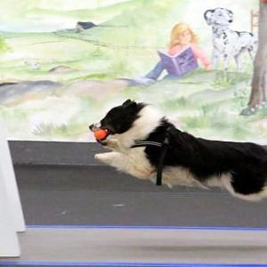 IMG 4368