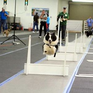 IMG 4901