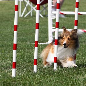 Lexi

(photo by Mike Lifer Photogaphy, edited by me!)