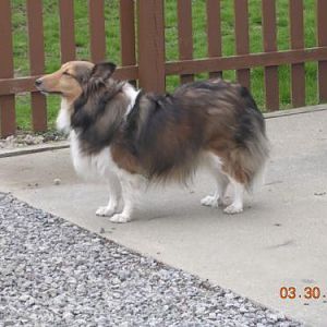 Does my butt look fat??