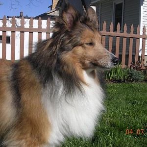 Checking out her new backyard