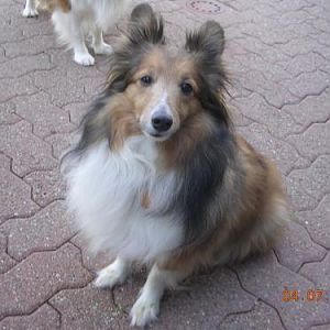 OK.... Just give me the treat!