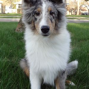 Birch 6.5 months