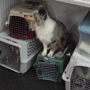 I couldn't find a crate will this do