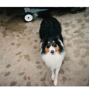 Jasmine sometime around 1997-1999.