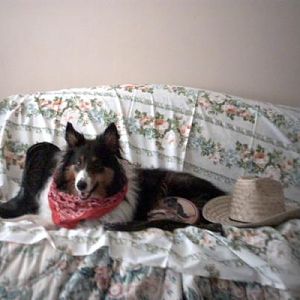 Probably around 2001 or 2002. My sister and I decided to do a photo shoot with poor Jasmine as the subject.