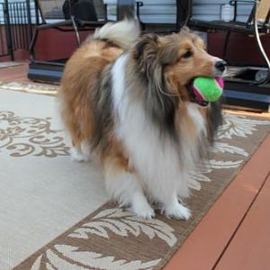 Brandi got the ball