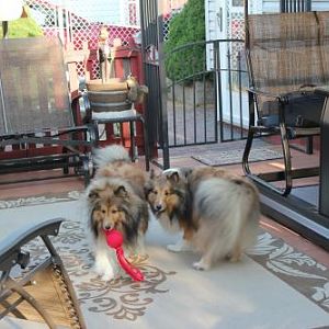 more play
