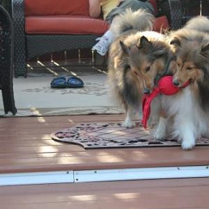 wubba play
