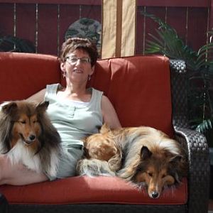Relaxing with my Shelties