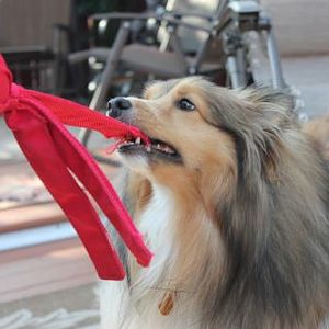 Brandi loves the Wubba