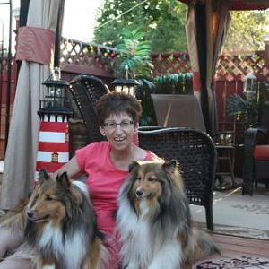 More of me and my Shelties <3