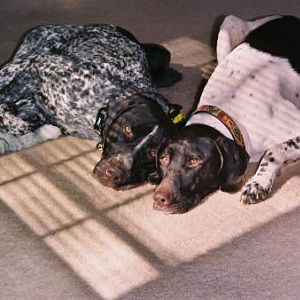 Senna & Kylie