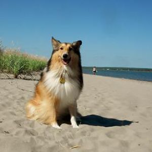Rainbow Haven Beach, summer 2012