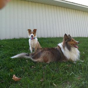 Love my Furr Kids!
