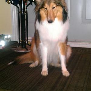 Happy second birthday Kyara!