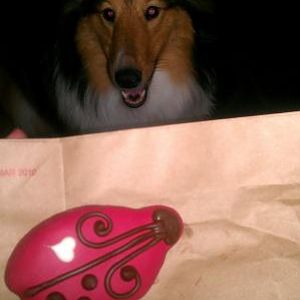 You can see the reflection of the bday cookie in her eyes ahah!