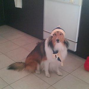 Fancy!