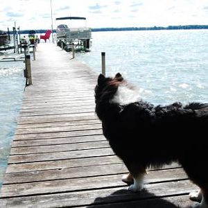 To go out on the dock, to not go out on the dock.