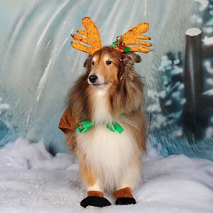 Bobby Reindeer