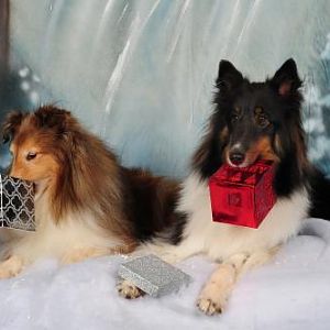 boys hold boxes