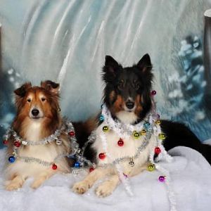 boys in lights