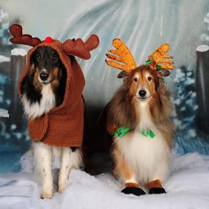 Boys Reindeer