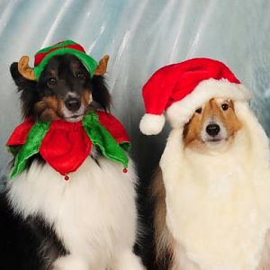 Santa Helpers