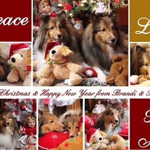 Brandi & Brady 2012 Christmas Card - Merry Christmas!