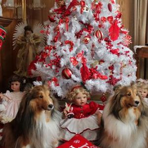 the living room tree